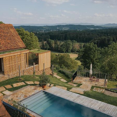 Am Wildbachberg - Luxus Ferienhaeuser Mit Infinitypool, Privatsauna Und Weinkeller 德意志兰茨贝格 外观 照片