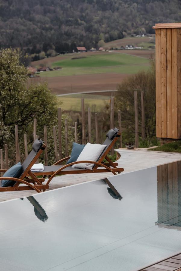 Am Wildbachberg - Luxus Ferienhaeuser Mit Infinitypool, Privatsauna Und Weinkeller 德意志兰茨贝格 外观 照片