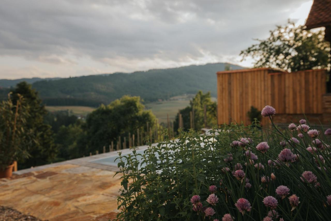 Am Wildbachberg - Luxus Ferienhaeuser Mit Infinitypool, Privatsauna Und Weinkeller 德意志兰茨贝格 外观 照片