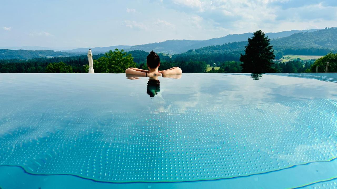 Am Wildbachberg - Luxus Ferienhaeuser Mit Infinitypool, Privatsauna Und Weinkeller 德意志兰茨贝格 外观 照片