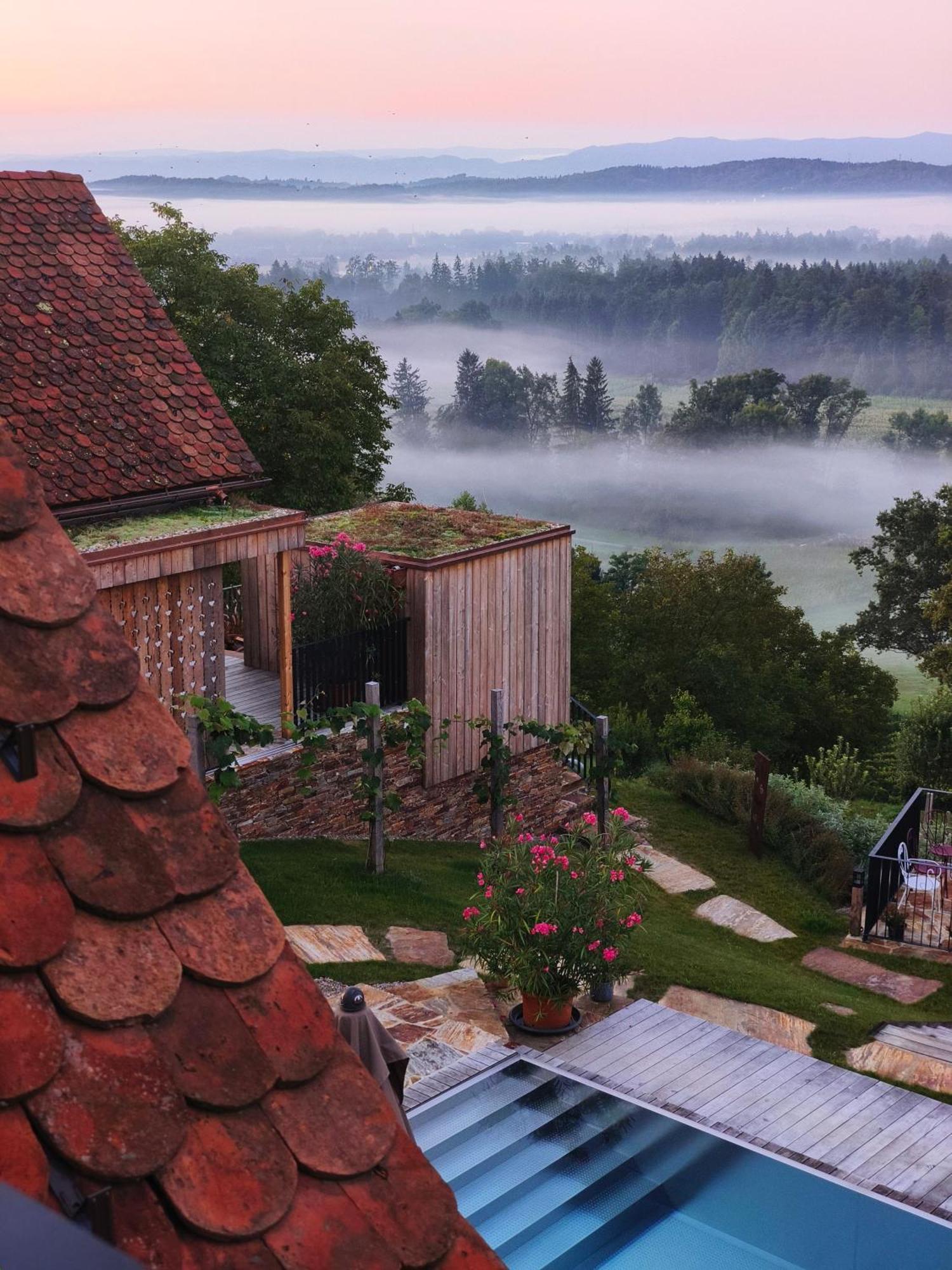 Am Wildbachberg - Luxus Ferienhaeuser Mit Infinitypool, Privatsauna Und Weinkeller 德意志兰茨贝格 外观 照片