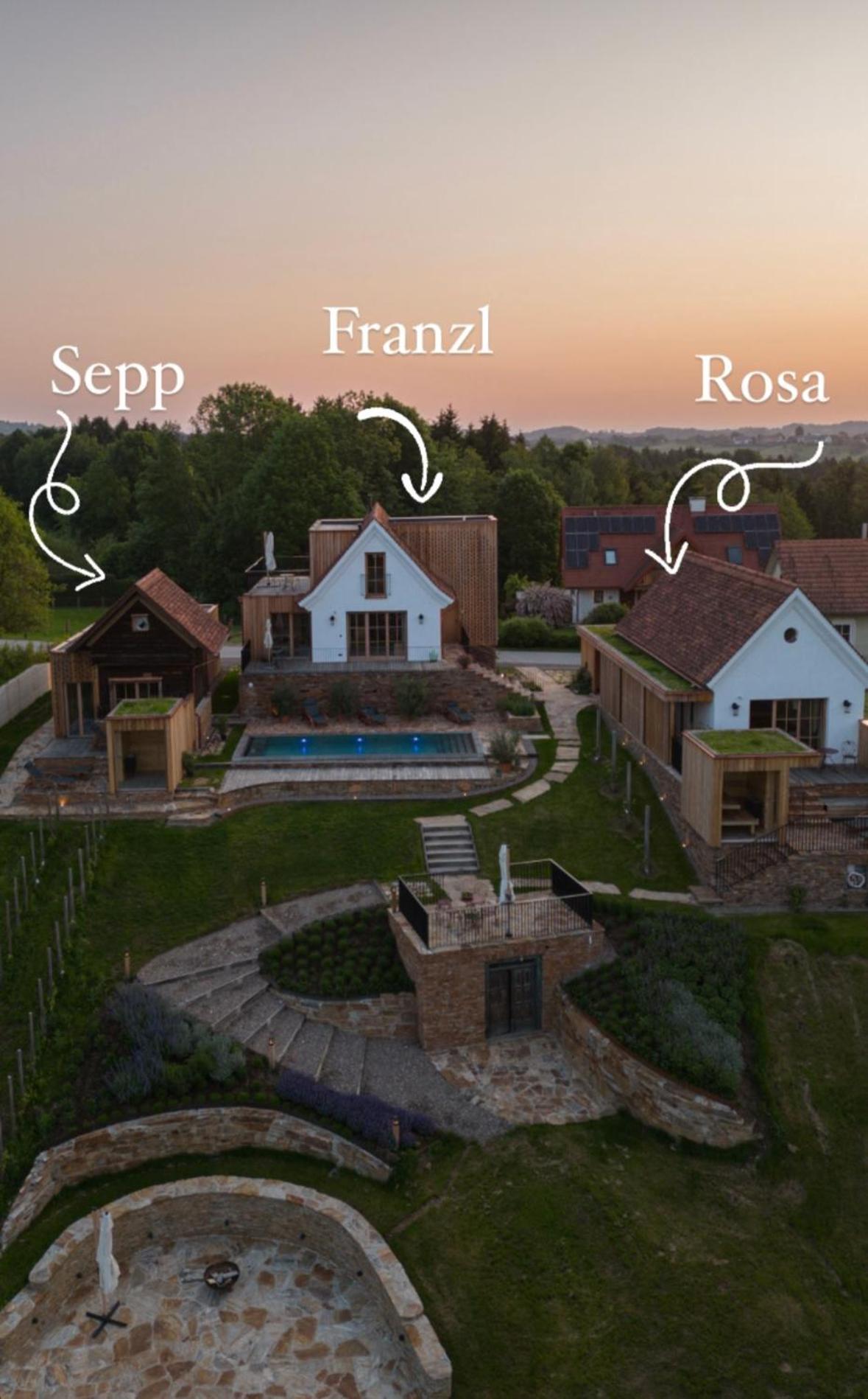 Am Wildbachberg - Luxus Ferienhaeuser Mit Infinitypool, Privatsauna Und Weinkeller 德意志兰茨贝格 外观 照片